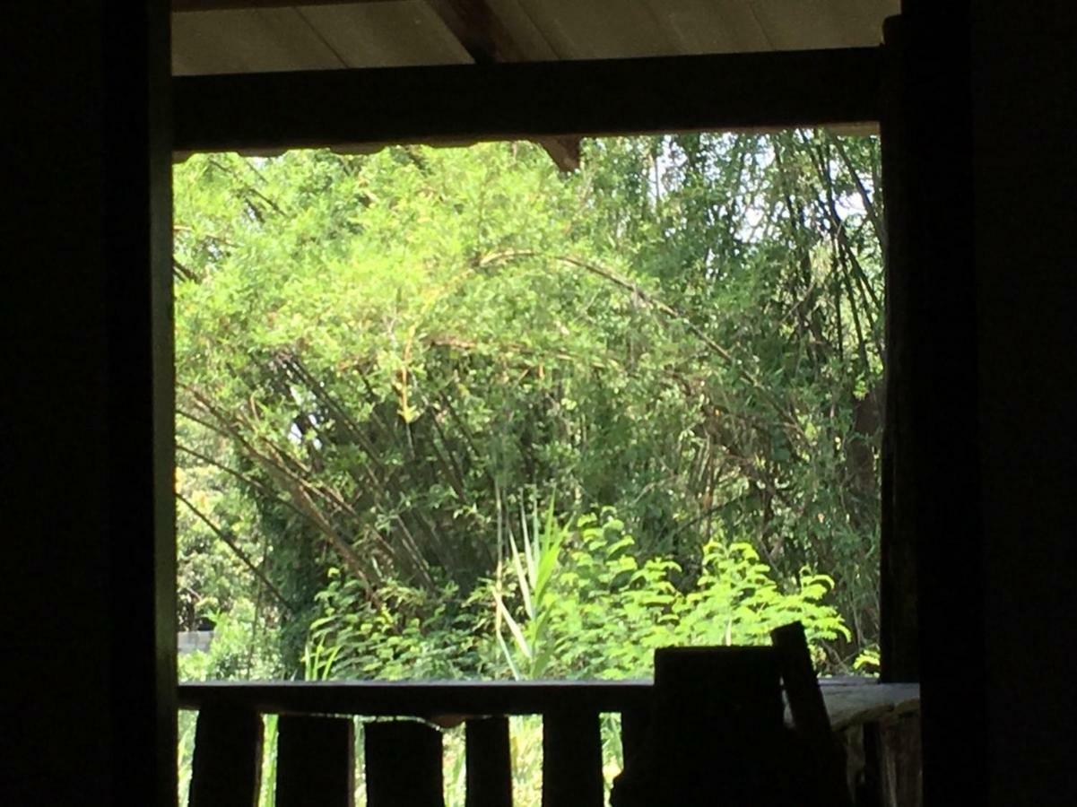 Chiang Dao Hostel Exteriör bild
